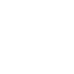 Erijane Logo